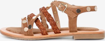 Sandalo con cinturino di CAFè NOIR in marrone: frontale