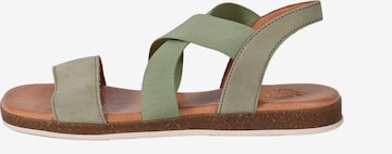 Apple of Eden Sandals ' IRIS ' in Green