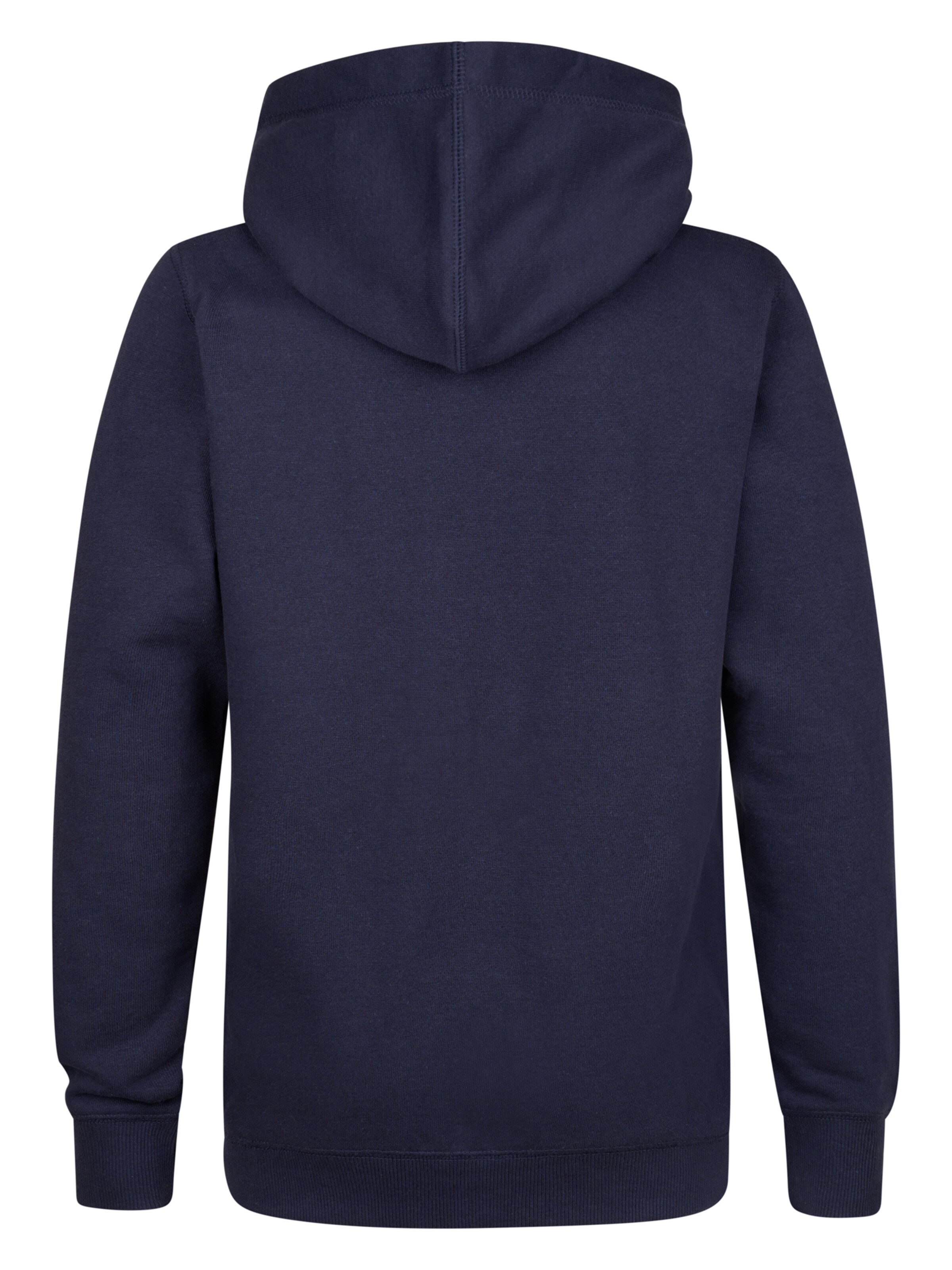 Petrol Industries Sweatshirt in Blauw