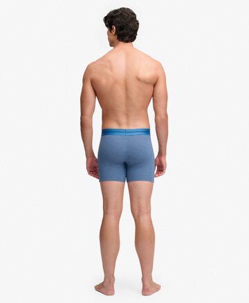 Superdry & Co Boxer shorts in Blue