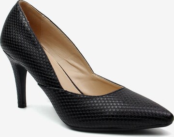 Celena Pumps 'Carlotta' i svart