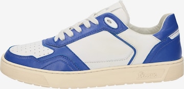 SIOUX Sneakers laag 'Tedroso-DA-700' in Blauw