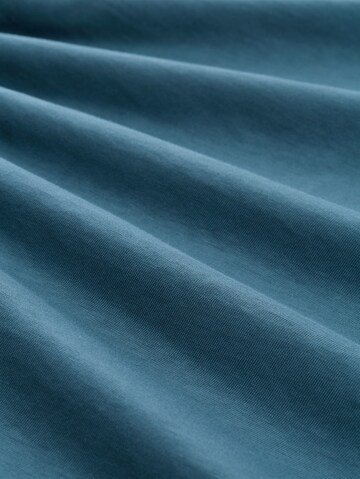 TOM TAILOR DENIM Shirt in Blauw
