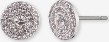 Lauren Ralph Lauren Earrings in Silver: front