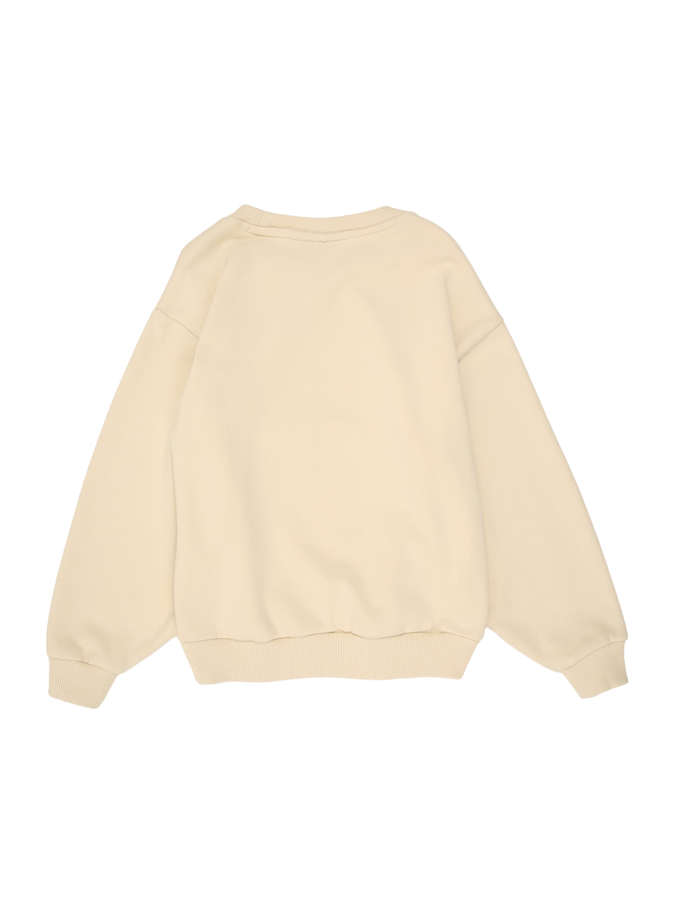NAPAPIJRI Sweatshirt in Beige