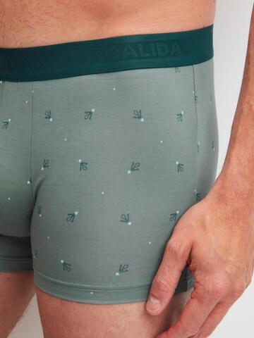 Boxer 'Grafic Cotton' di CALIDA in verde