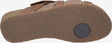 JOSEF SEIBEL Mules 'Tonga' in Brown