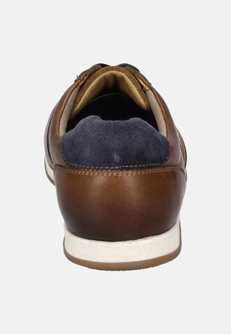 JOSEF SEIBEL Schnürschuh 'Colby 02' in Braun