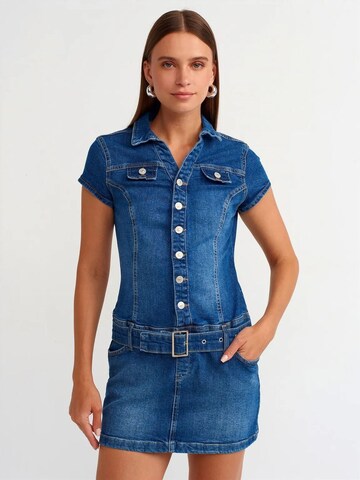 Dilvin Dress in Blue: front
