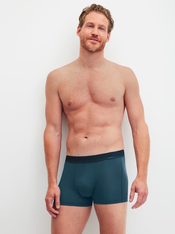 CALIDA Boxer shorts 'Focus' in Green: front
