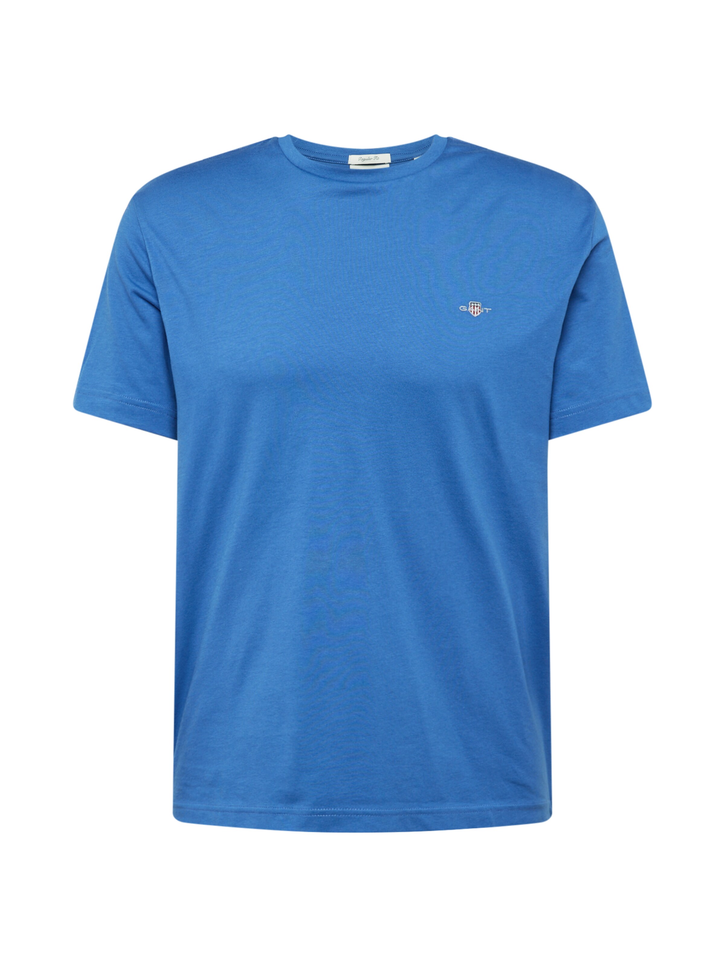 GANT Shirt in Blue: front