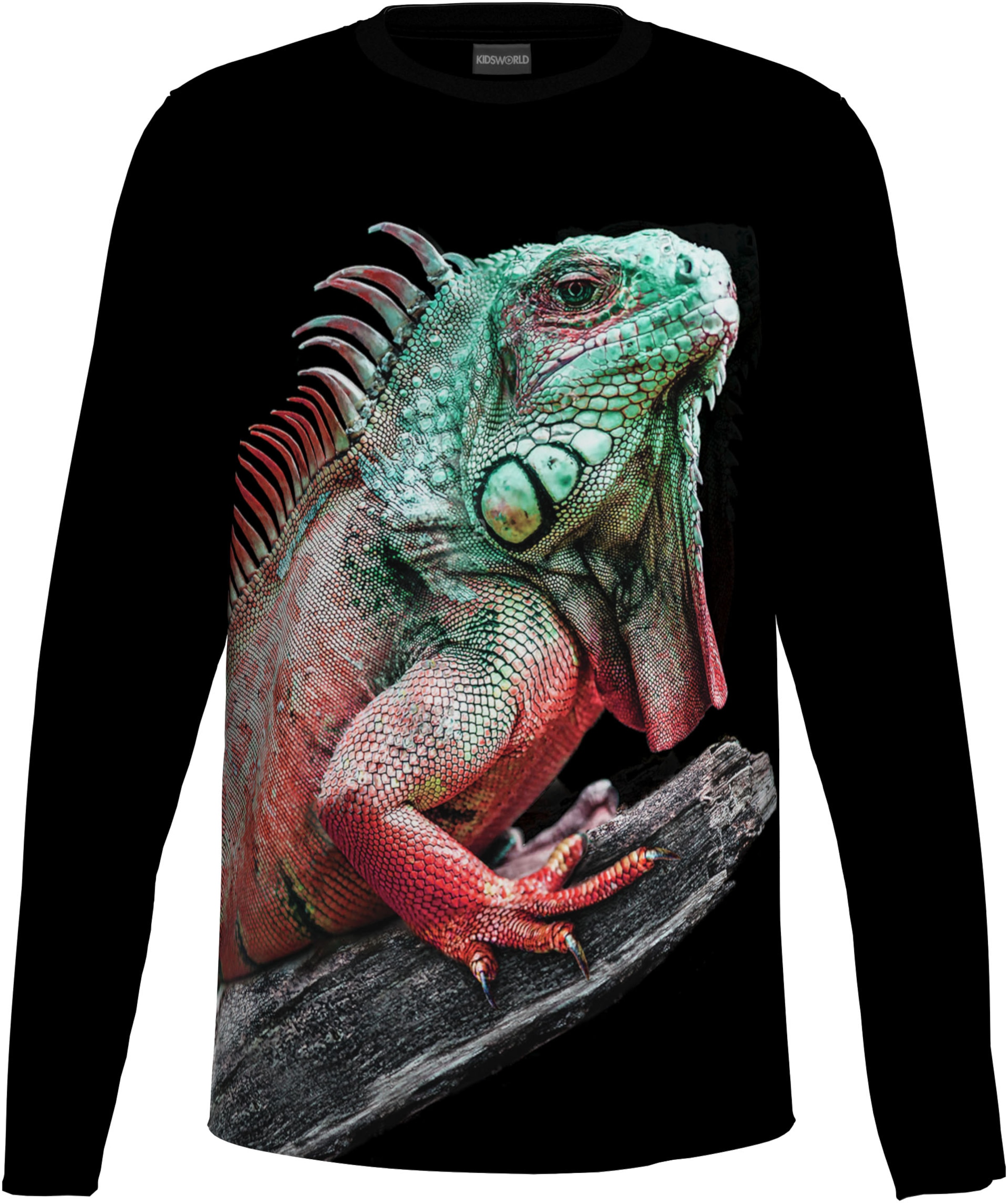 Kidsworld Shirt in Black: front