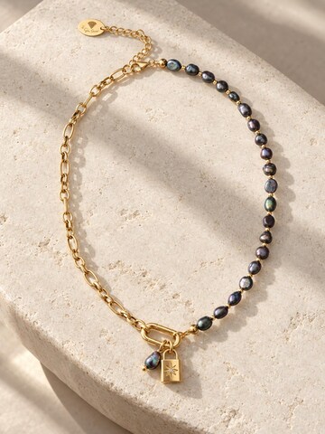 THE GEM STORIES JEWELRY Αλυσίδα 'Black Pearls and Chain Necklace' σε μαύρο