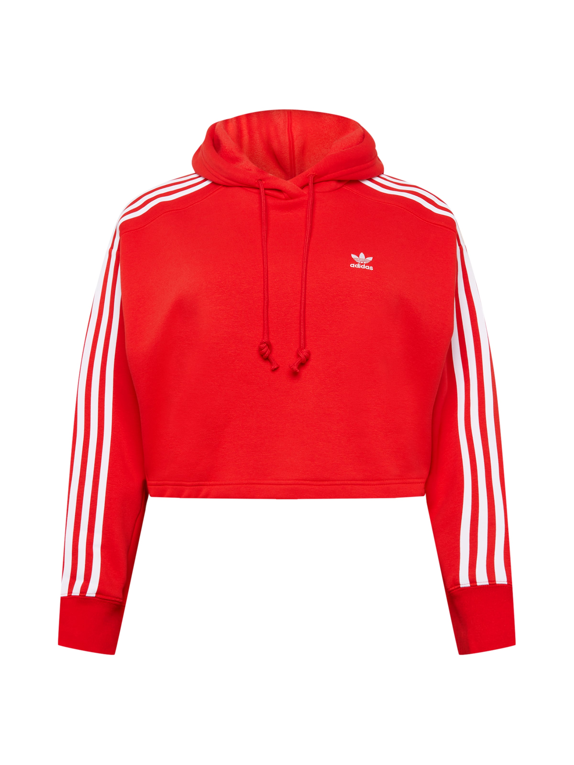 ADIDAS ORIGINALS taglie comode » online su ABOUT YOU