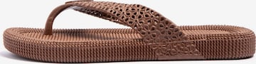 Brasileras T-Bar Sandals 'Flopee' in Brown: front