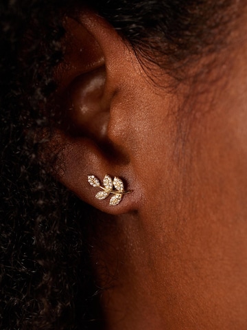 Lucardi Earrings 'Klassisch' in Gold: front