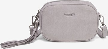 Borsa a tracolla di Diana&Co. in grigio: frontale