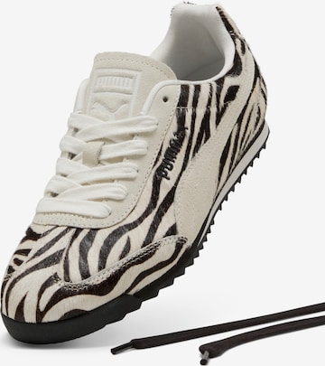 Puma Arizona Leo PUMA ARIZONA LEO, ZAPATILLAS Multicolor Lona