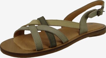 EL NATURALISTA Strap Sandals in Green: front