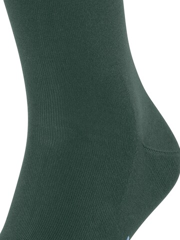 FALKE Cool 24/7 in Grün