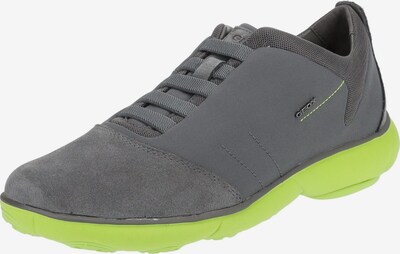 GEOX Sneakers in Anthracite / Lime / Silver, Item view