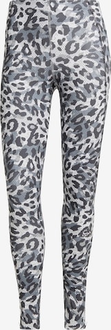 ADIDAS SPORTSWEAR Skinny Sportbroek in Grijs: voorkant