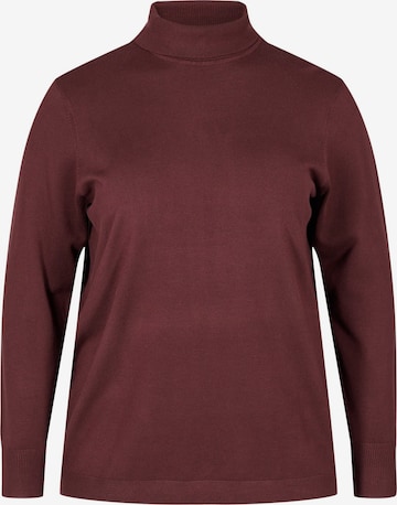 Zizzi Sweater 'MILLE' in Brown: front