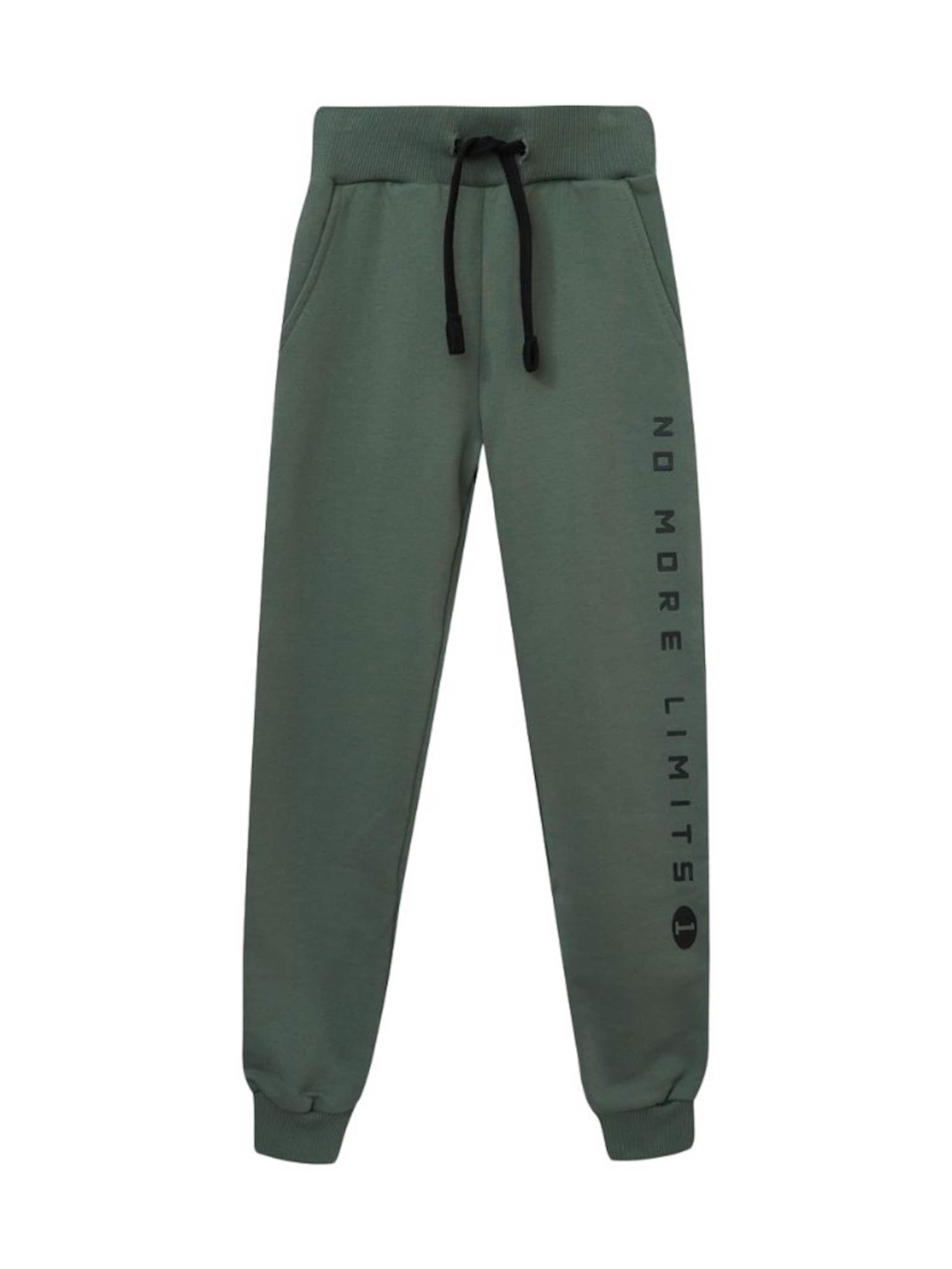 WINKIKI Regular Pants in Green: front
