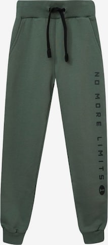 WINKIKI Regular Hose in Grün: Vorderseite