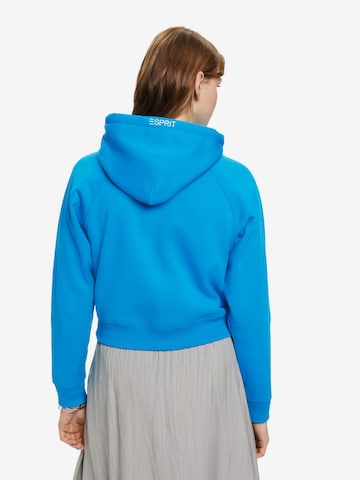 ESPRIT Sweatshirt in Blue