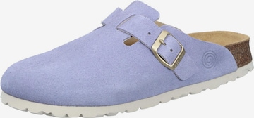 DR. BRINKMANN Clogs 'Clogs NERPIO' in Purple: front