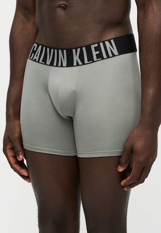 Calvin Klein Underwear Normalny krój Bokserki 'Intense Power' w kolorze szary