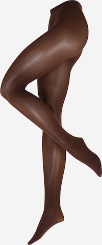 Swedish Stockings Тонкие колготки 'Olivia' в Коричневый: спереди