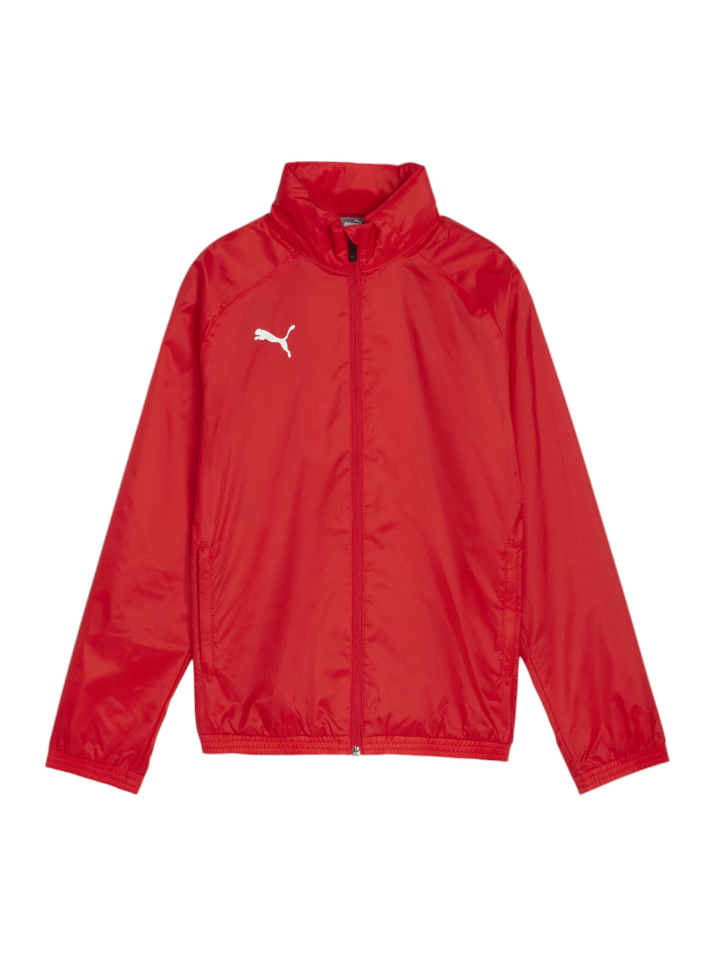 PUMA Sportjacke 'TeamGoal' in Rot: Vorderseite