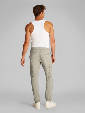 Calvin Klein Jeans Ozke Kargo hlače | siva barva