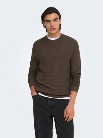 Pullover 'ONSLoui' di Only & Sons in marrone: frontale