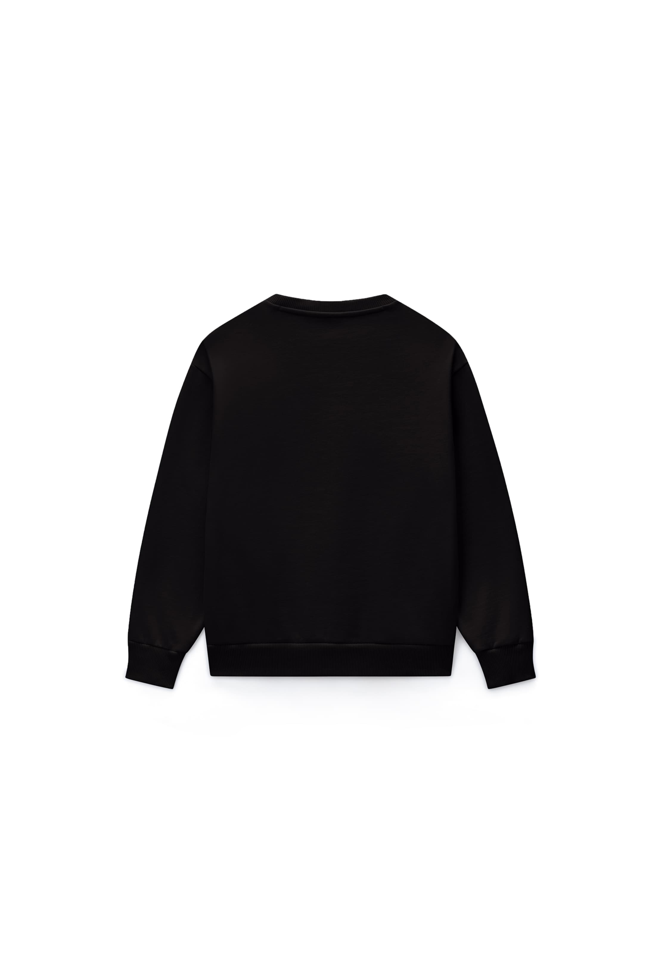 NAPAPIJRI Sweatshirt in Black