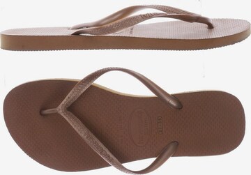 HAVAIANAS Sandalen 36,5 in Beige: predná strana