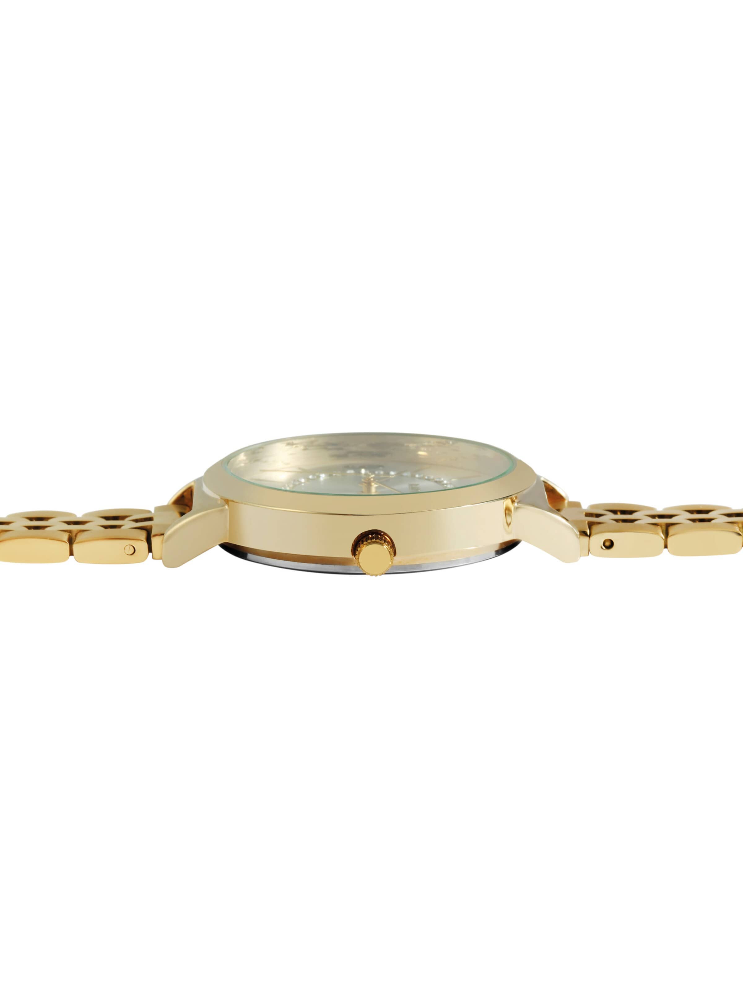 Raptor Analog Watch 'Sara 3 ATM' in Gold