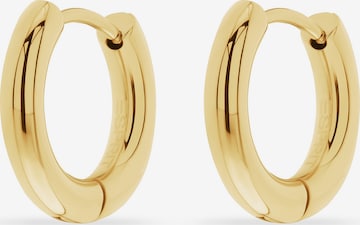 ESPRIT Earrings in Gold: front