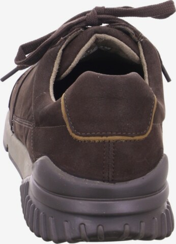 Pius Gabor Sneakers in Brown