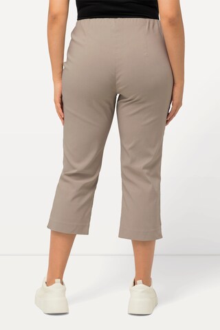 Ulla Popken Regular Hosen in Beige