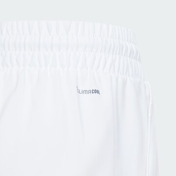 ADIDAS PERFORMANCE Regular Workout Pants 'Club' in White