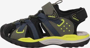 Chaussures ouvertes GEOX en vert