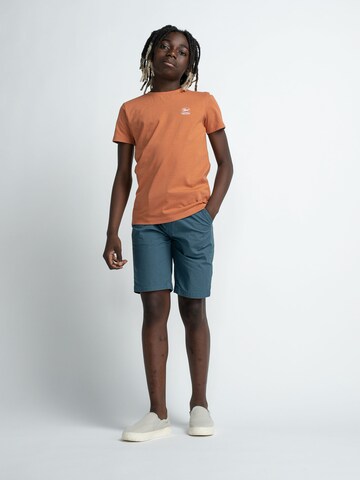 Petrol Industries Regular Broek in Blauw