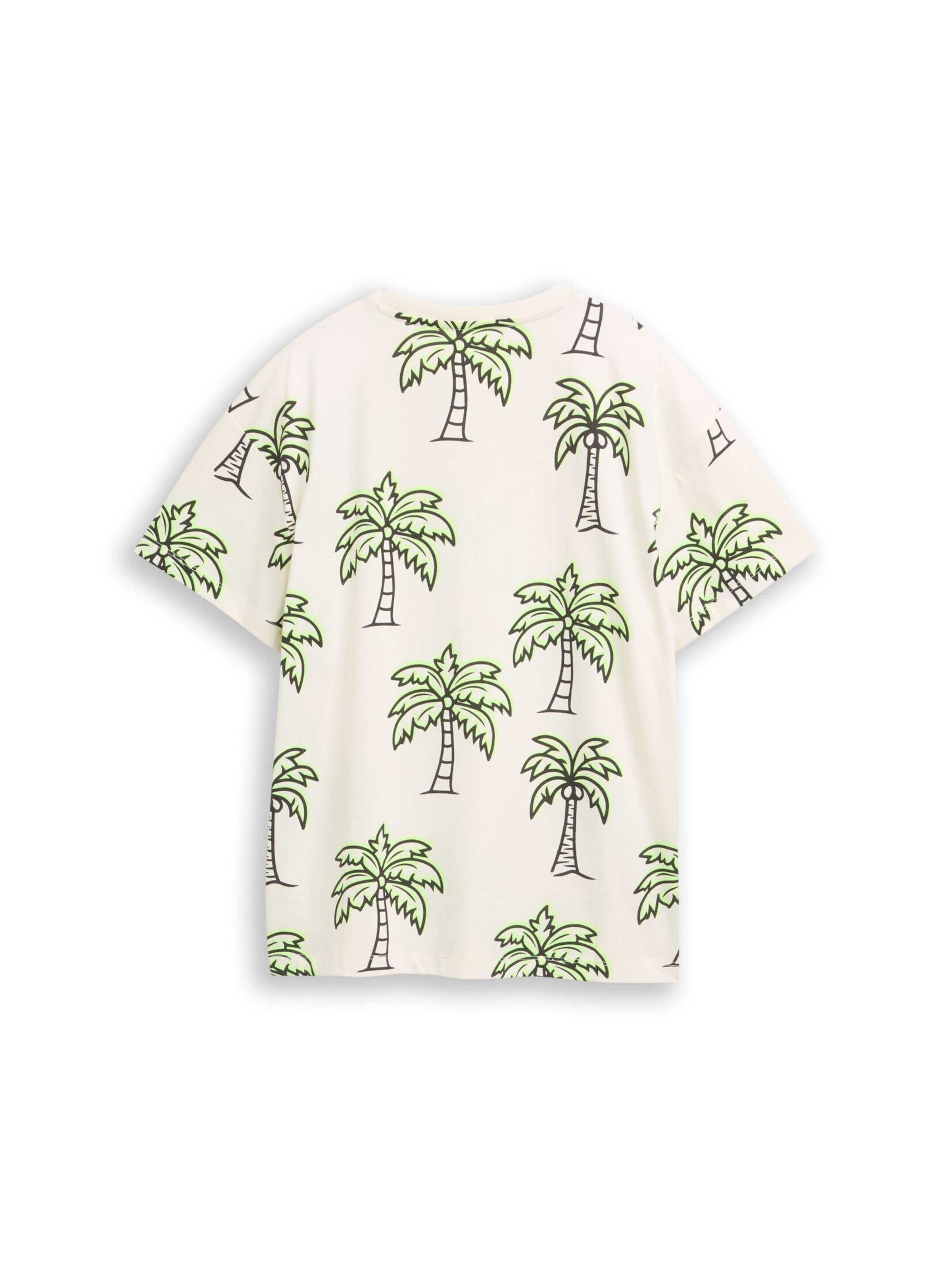 TOM TAILOR Shirt in White
