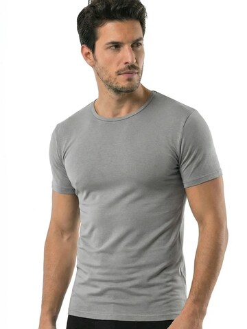 T-Shirt 'T-Shirts' ÖTS en gris
