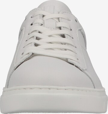 Pius Gabor Sneaker in Weiß