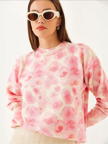 Bianco LucciPulover 'Pullover' - miks boja boja