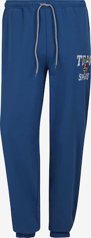 Jan Vanderstorm Tapered Sportbroek 'Thibor' in Blauw: voorkant